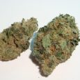 Banana Sundae
