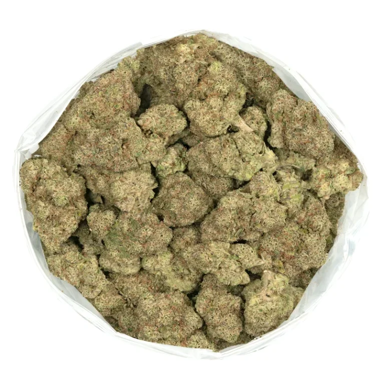 gumbo2